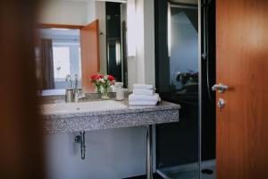 DuvenstedtHotel Alster Au的浴室的柜台设有水槽和镜子