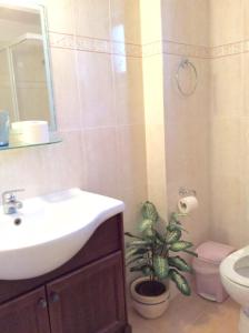 艾拉方索斯Hotels Kalimera Inn的一间带水槽、卫生间和植物的浴室