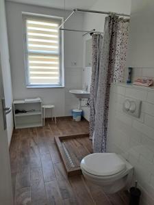 陶尔曹尔Tarcal Apartman的一间带卫生间和水槽的浴室