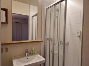 卢塞恩Easy-Living Buholz Hoch 12的带淋浴和盥洗盆的浴室