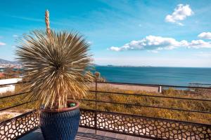 马赛LES SUITES LOVE 2 SPA VUE MER PISCINe的坐在俯瞰大海的阳台上的盆栽植物