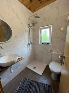 卡尔洛瓦茨Rooms Ljubenko的一间带水槽和卫生间的浴室以及窗户。