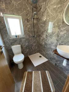 卡尔洛瓦茨Rooms Ljubenko的一间带卫生间和水槽的浴室