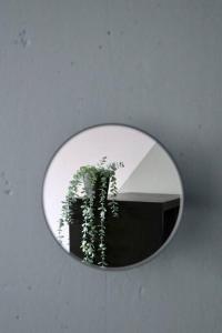 阿卢克斯内Dzīvoklis ar skatu pār Alūksni的墙上的镜子,上面有植物