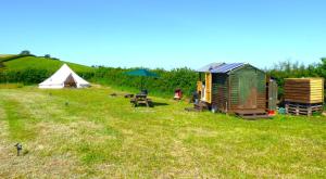 KidwellyFfos Wilkin Glamping & Alpacas的田野,有帐篷,桌子和帐篷