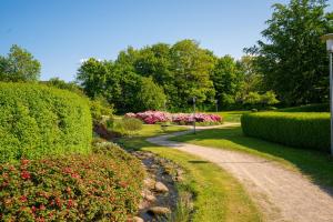 宾德斯莱弗Parkvejens feriebolig的穿过灌木和鲜花的花园的路径