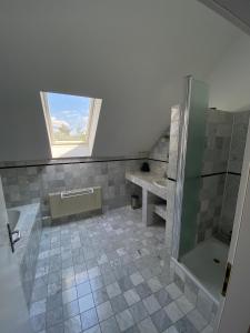 莱比锡Ferienhaus Busch的带淋浴和盥洗盆的浴室以及窗户。