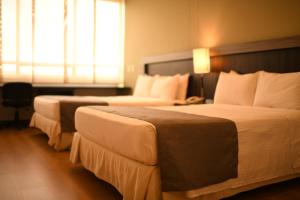麦德林米桑迪尔格酒店的酒店客房设有两张床和窗户。