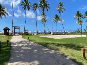 塔曼达雷Flat com vista linda Eco Resort的一条种有棕榈树的小径和一个游乐场