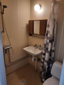 埃基斯蒂尔Vinland Apartment 2的一间带水槽和淋浴的小浴室