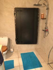 利穆LIMOUX RIVERSIDE GARDENs的浴室设有淋浴、黑色门和2个蓝色垫子