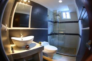 博卡奇卡Hotel Vicentina的一间带水槽、卫生间和淋浴的浴室