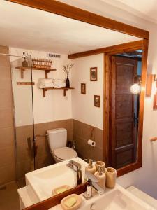 沃尼奥尔茨沃什海吉A Házikó - Cottage的一间带水槽、卫生间和镜子的浴室