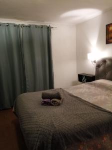 圣地亚哥VidaNatural的一间卧室配有一张带绿帘的床