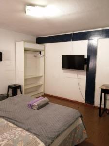 圣地亚哥VidaNatural的一间卧室配有一张床和一台平面电视