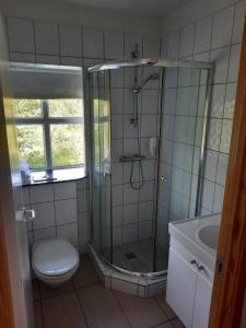 埃基斯蒂尔文兰小屋酒店的带淋浴、卫生间和盥洗盆的浴室
