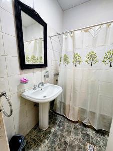 门多萨Casa Aqua hotel boutique的一间带水槽和淋浴帘的浴室