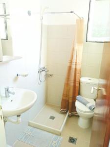 安迪帕罗斯岛Dolphin Rooms的带淋浴、卫生间和盥洗盆的浴室