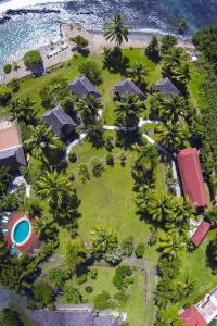 Afaahiti普纳提村庄酒店的棕榈树度假村的空中景致