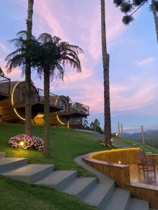 蒙特韦尔迪Pousada Villa Barril的一座拥有楼梯和棕榈树的建筑
