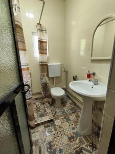 奥赫里德Villa Paradiso的一间带水槽和卫生间的浴室