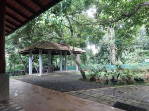 哈巴拉杜瓦Green Stay的公园内种有盆栽植物的凉亭