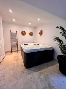 IsquesManoir Les Feuillantines Piscine & Spa的一间带浴缸的浴室