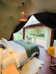卢汉Don Aniceto Lodges & Glamping的一间卧室设有一张床和一个大窗户