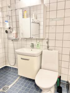图尔库Woodpecker Avenue Family Apartment Turku的一间带卫生间、水槽和镜子的浴室