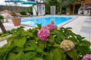 苏佩塔斯卡德拉加Villa Kristina Rab的游泳池前种有粉红色花的植物