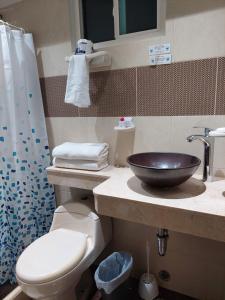 卡塔赫纳hotel 3 banderas Manzanillo del Mar的一间带水槽、卫生间和淋浴的浴室