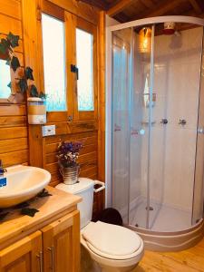 托塔Lago De Tota Glamping的带淋浴、卫生间和盥洗盆的浴室