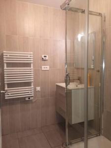 布雷斯特L'Escale - appartement spacieux au calme的带淋浴和盥洗盆的浴室
