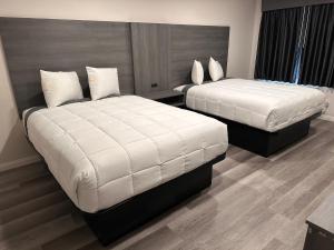 西科维纳五星级酒店 的一间酒店客房,房间内设有两张床