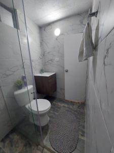 内瓦Encantador y Confortable Apartamento的一间带卫生间和玻璃淋浴间的浴室