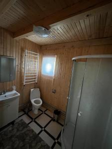 布克维Котеджі Зоряне Небо的一间带卫生间、水槽和窗户的浴室