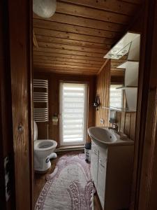 布克维Котеджі Зоряне Небо的一间带水槽和卫生间的浴室以及窗户。