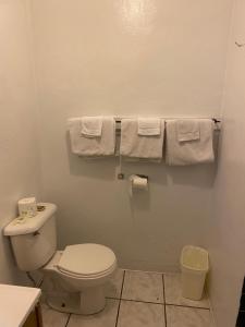 加伯维尔Johnston's Motel的一间带卫生间的浴室和墙上的毛巾