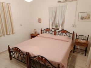 帕福斯The Grapevine Guest House的一间卧室配有一张带粉红色棉被的床