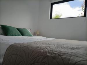 北马马亚-讷沃达里Tiny Village Mamaia Nord - House 1的一间卧室配有一张带绿色枕头的床和一扇窗户