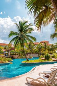 海口海口喜来登酒店的度假村的游泳池,种植了棕榈树,配有椅子