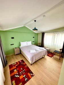 伊斯坦布尔特瑞斯住宿加早餐旅馆的一间卧室设有一张床和绿色的墙壁