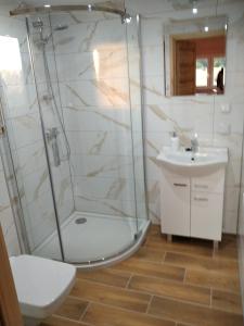 GórkiWczasy na Kaszubach的带淋浴和盥洗盆的浴室