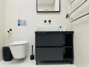 希奥利艾Alto Turtas Apartamentai的一间带黑色水槽和卫生间的浴室