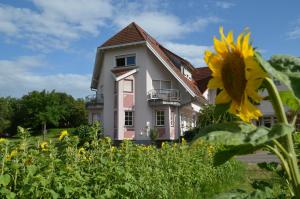 莱因斯韦勒山庄酒店及餐厅的一座房子前面有向日葵
