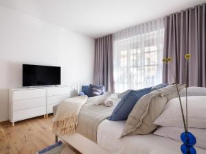 克拉科夫Tyzenhauz Villas的一间卧室设有一张床、一台电视和一个窗口。