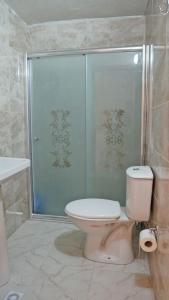 KireçhaneÇatalkaya Bungolov的一间带卫生间和玻璃淋浴间的浴室
