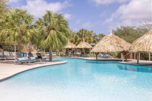 威廉斯塔德Morena Resort的一个带椅子和稻草遮阳伞的游泳池