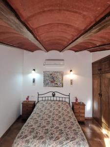 卡斯特里尔Casa Rural El Gandulillo的一间卧室设有一张带木制天花板的大床