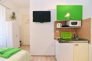 里耶卡Apartments Trend的一个带绿色橱柜和水槽的小厨房
